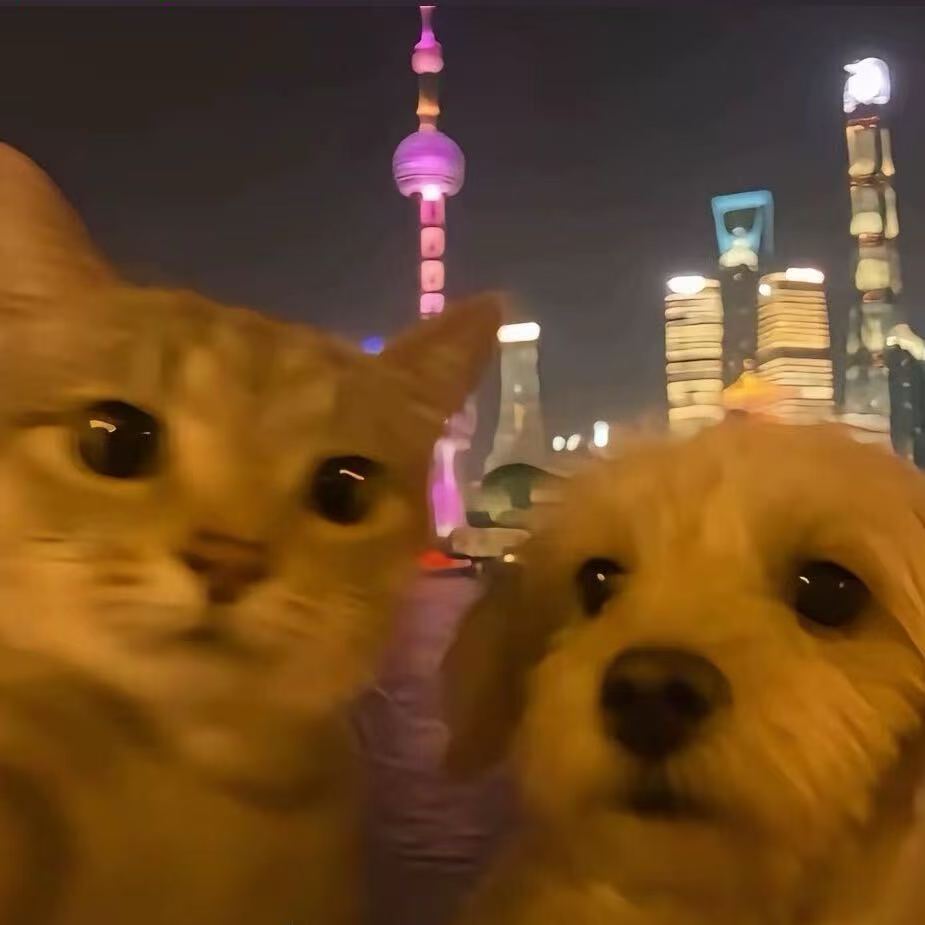 头像