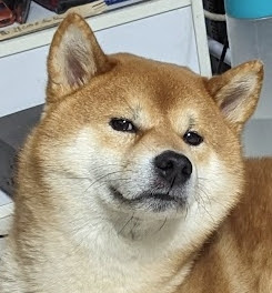 选手