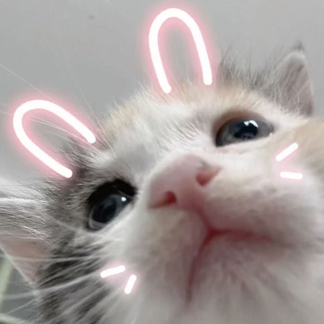 队徽